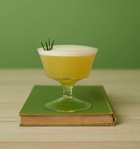 Seedlip Garden Sour - 12 Mocktail Recipes for Dry January