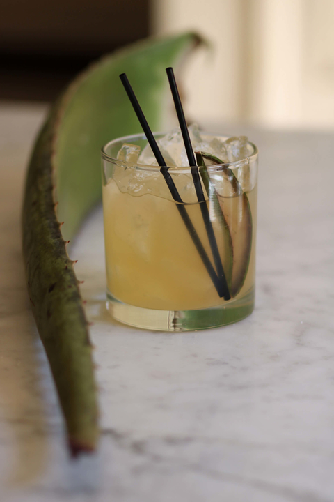 Aloysius aloe and St-Germain cocktail at Vedge Restaurant in Philadelphia, PA - Harvest the Profit-Generating Power of Plant Waters