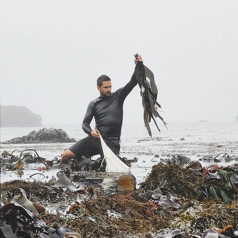 Marsh Mokhtari of Gray Whale Gin wild foraging edible kumbo sea kelp