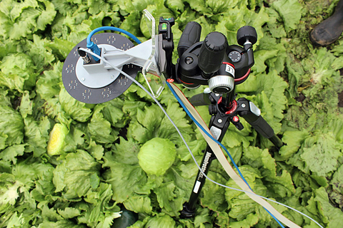 MSI system adapted for use in monitoring of crops in the field