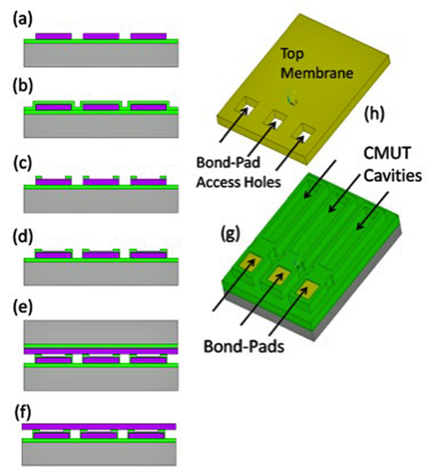 Fig. 5: Process flow for CMUT fabrication at Micralyne [5]; (a) The top Boron-doped Si layer of an SOI wafer is patterned to form electrodes with an insulating SiO2 base; (b) thermal oxide growth; (c) patterning of oxide layer to define CMUT cavities and 