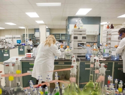Lab work