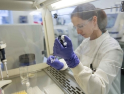 Lab work