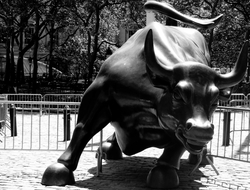 Wall Street Bull