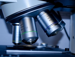 Microscope