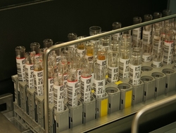 array of test tubes