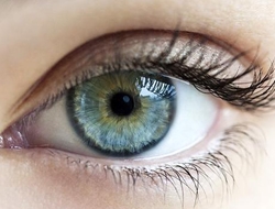 eye A close image of a blue eye