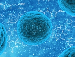 Stem cell Blue stem cells