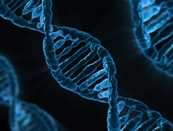 DNA DNA
