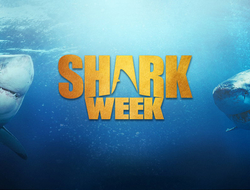 Shark Week Shark Week