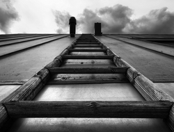 Ladder Ladder