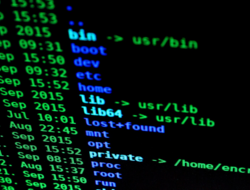 Coding hacking computer language code - 800 px (Pixabay) Image: Pixabay