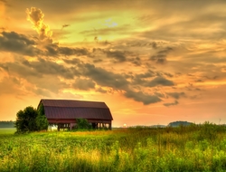 Rural America (CREDIT: Getty/ehrlif) A sunset over a barn structure