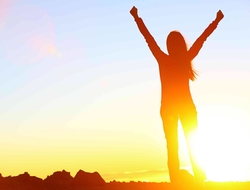 Wellness Warrior wellness website