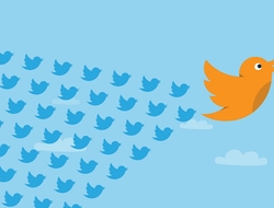 Twitter birds (Alan O'Rourke/CC BY 2.0) Twitter birds