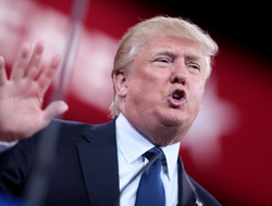 Trump With Hand Raised Trump With Hand Raised