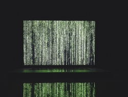 software software