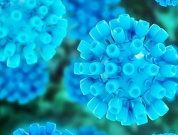 Hepatitis C virus Hepatitis C virus