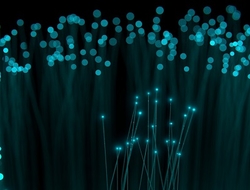 fiber (pixabay) fiber