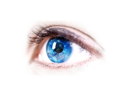 KalVista Eye Image KalVista Eye Image