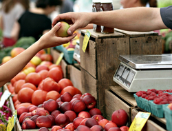 GroceryMarket Grocery Market