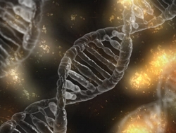 DNA chromosome helix Illustration of three DNA helices