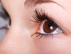eyes eyes