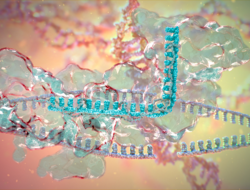 CRISPR technology for genome editing (Source: AstraZeneca) CRISPR technology for genome editing (Source: AstraZeneca)