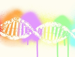 dna rainbow data DNA
