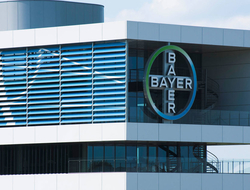 Bayer Bayer