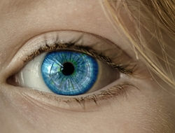 blue eye blue eye