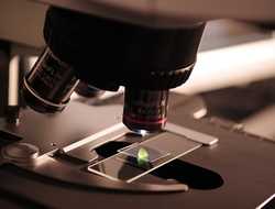microscope microscope
