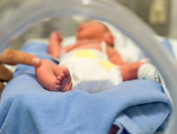 Baby in NICU NICU
