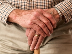 Old hands on walking stick Old hands on walking stick