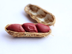 Peanuts in shell Peanuts in shell