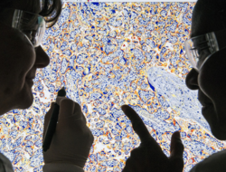 AstraZeneca - Investigation of protein expression Investigation of protein expression (Image: AstraZeneca)