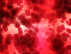 Red Blood DNA cell Red blood cells