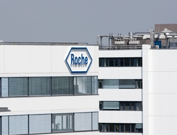 Roche Roche