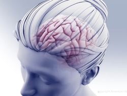 Head And Brain stroke head and brain