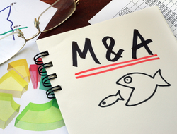 Merger Merger of Marriott and Starwood