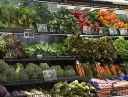 Grocery store fruits and vegetables (Credit: Getty/Noel Hendrickson) Grocery store fruits and vegetables