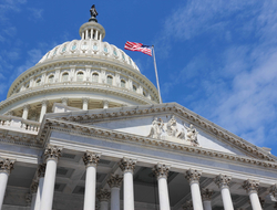 United States Capitol Capitol Building