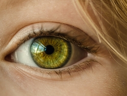 Eye Eye