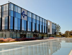celgene celgene