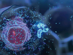 Amgen Oncology_Insight Amgen Oncology_Insight
