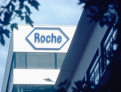 Roche building Roche