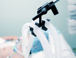 A patient in a hospital bed on a ventilator