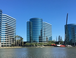 Oracle Oracle