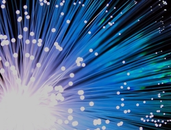 fiber fiber