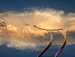 cloud cloud